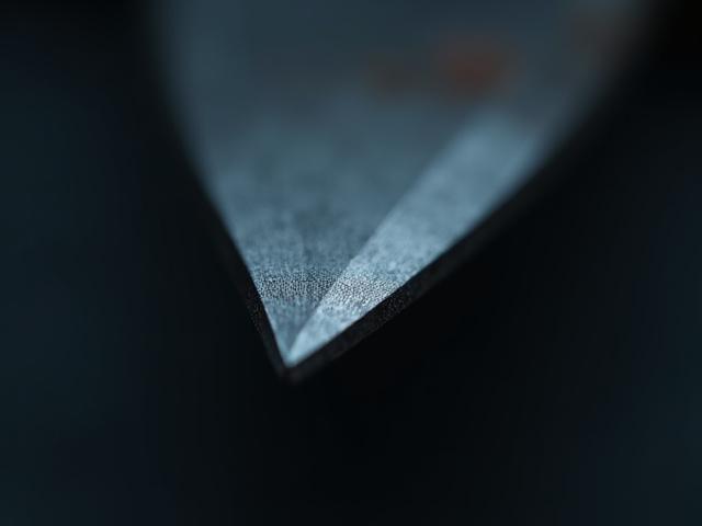 岡恒 剪定鋏 200mmの鋭い刃のクローズアップ